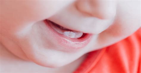 Bebeğin İlk Diş Çıkarma Süreci ve Öneriler